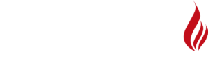 logo odyssee blanc